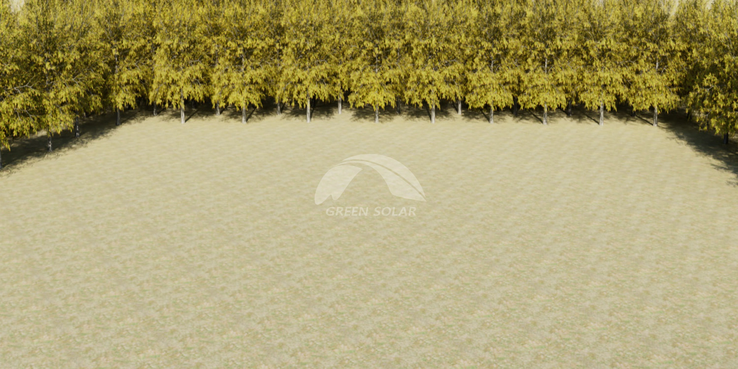 Frame 1