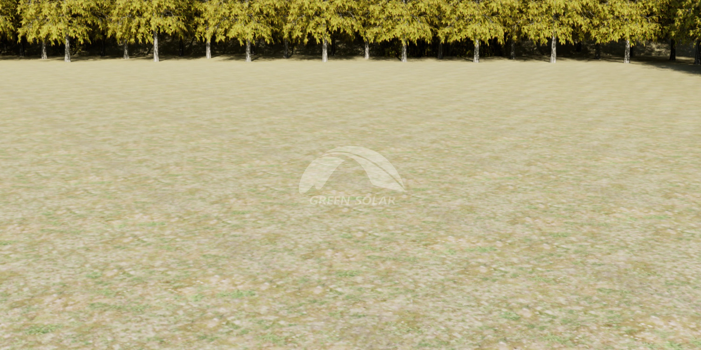 Frame 1