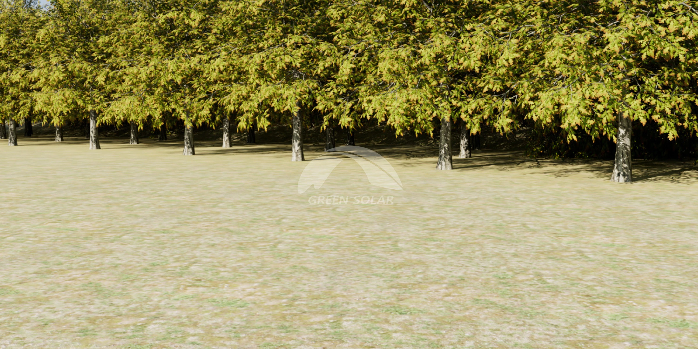Frame 1